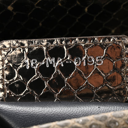 Christian Dior Metallic Snakeskin Medium Lady Dior Silver 7 of 10