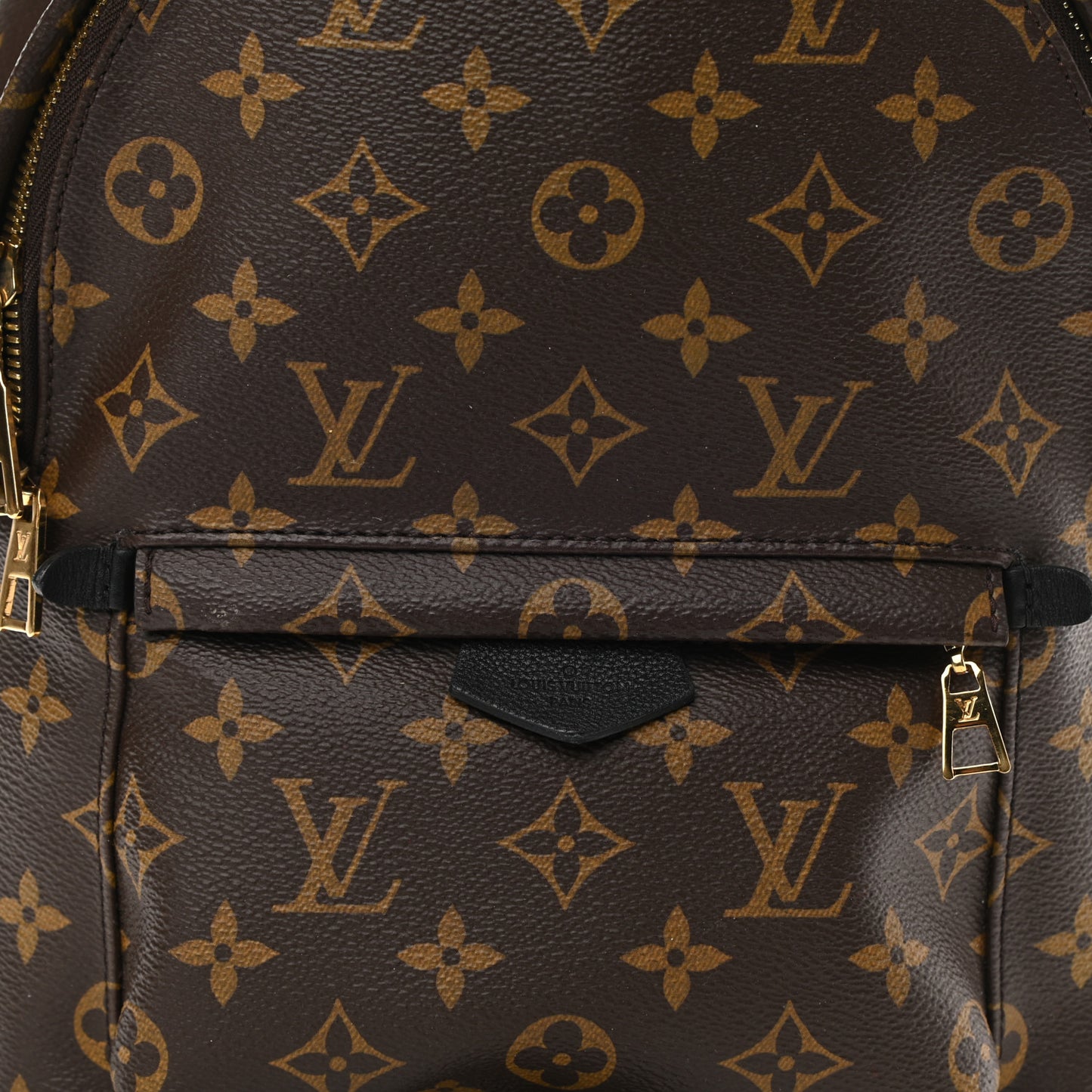 Monogram Palm Springs Backpack PM