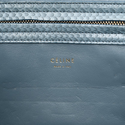 Celine Snakeskin Medium Phantom Luggage Grey 6 of 22