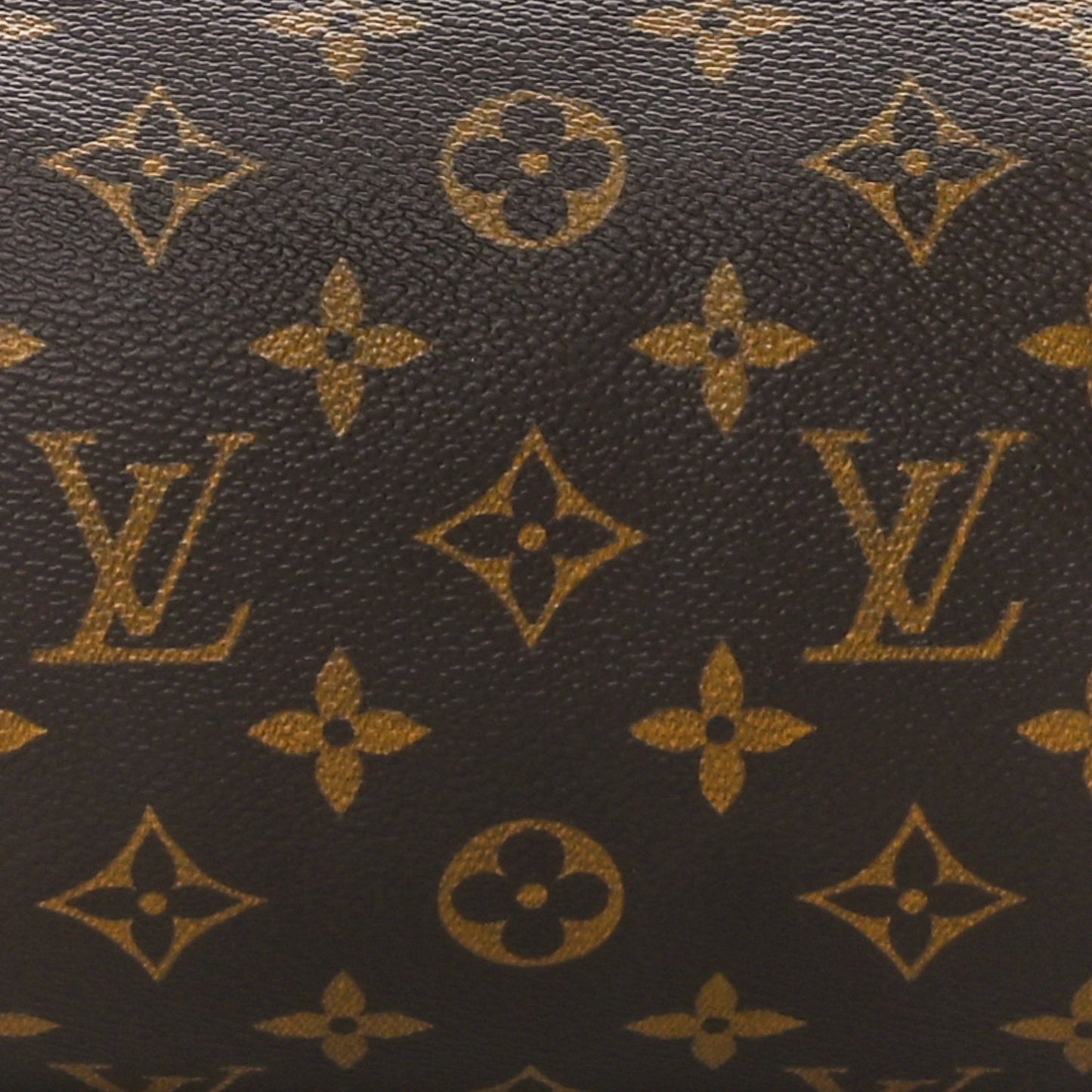 Monogram Papillon 30 with Companion
