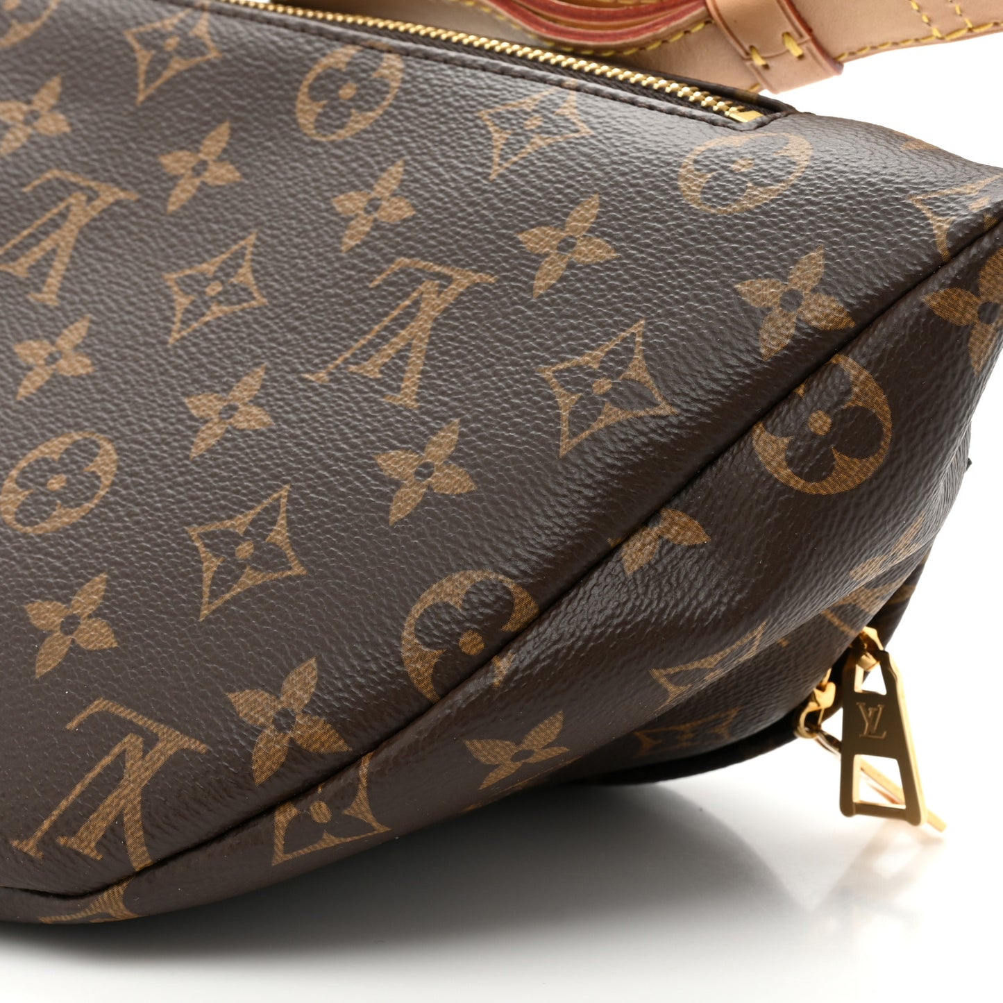 Monogram Bumbag