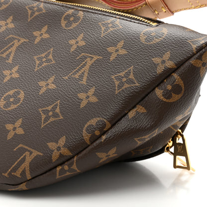 Louis Vuitton Monogram Bumbag 7 of 8