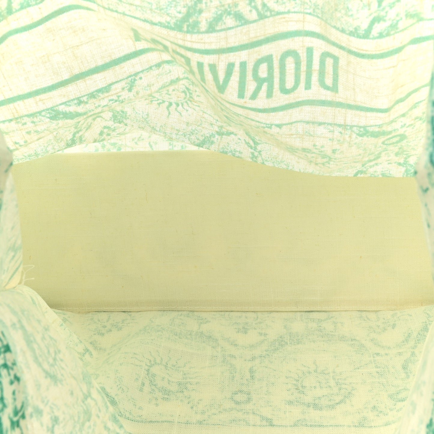 Canvas Dioriviera Toile de Jouy Soleil Tote Aquamarina