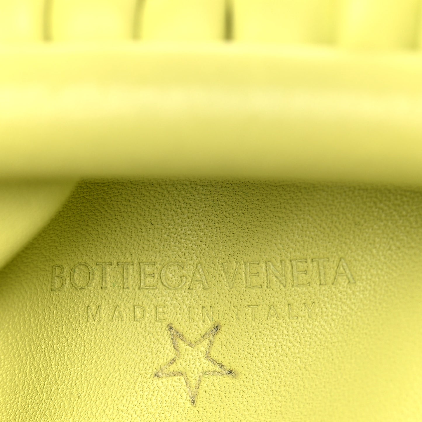Butter Calfskin The Mini Pouch Seagrass