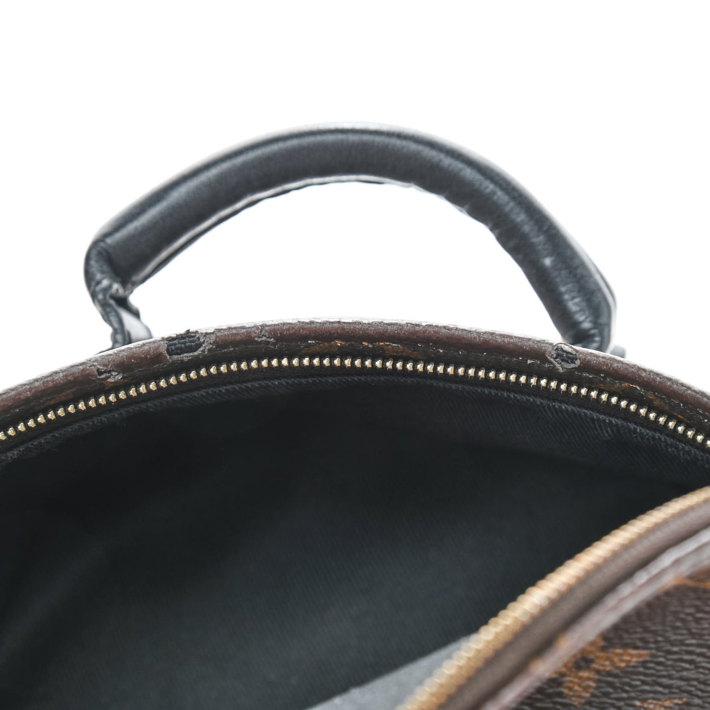 Monogram Palm Springs Backpack Mini