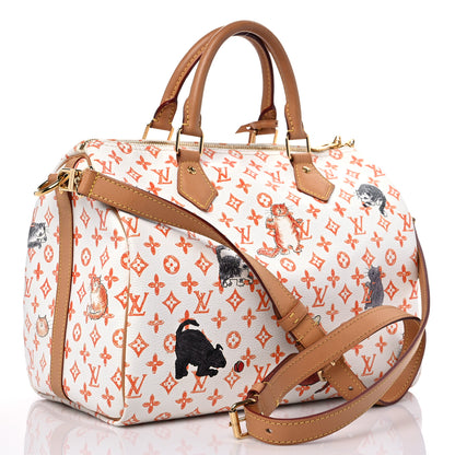 Louis Vuitton Catogram Speedy Bandouliere 30 3 of 17