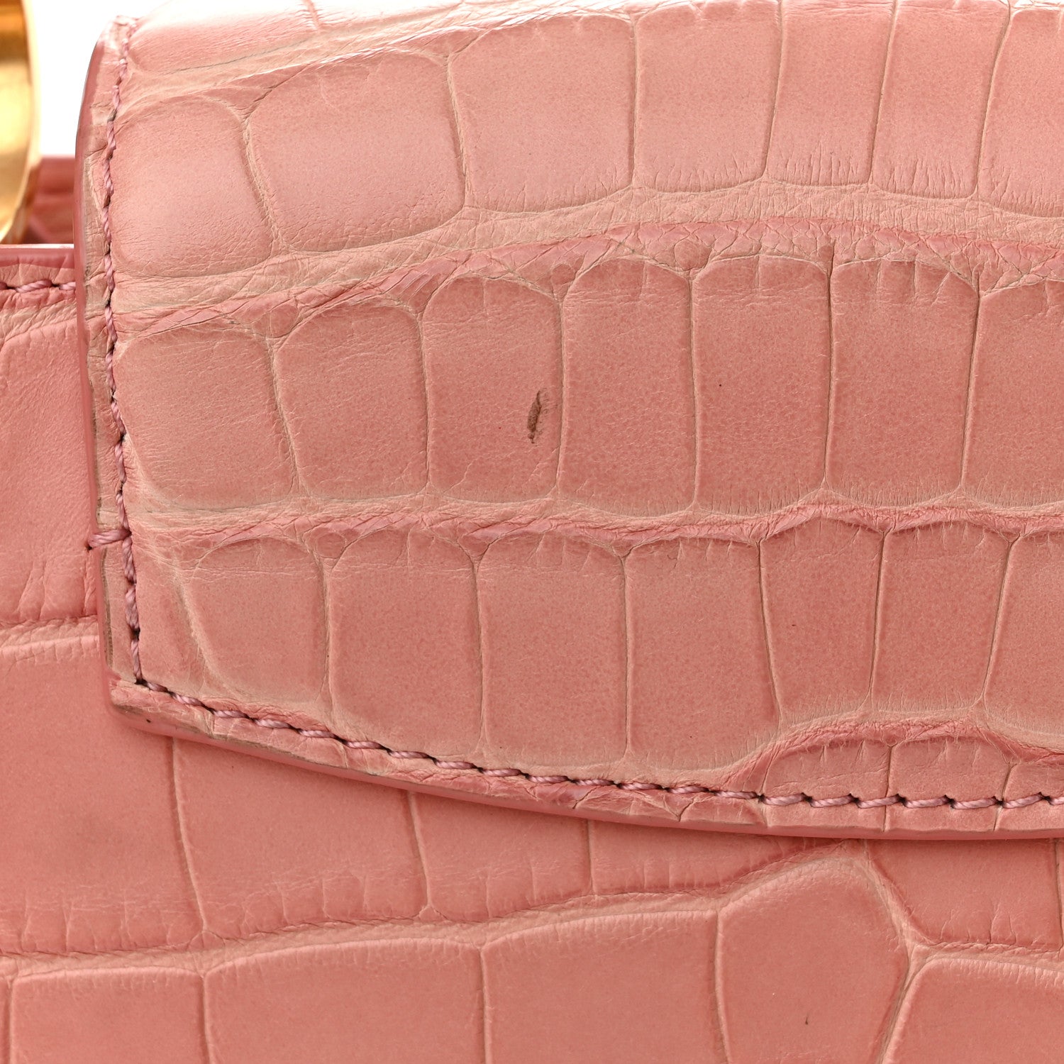 Louis Vuitton Alligator Capucines BB Pink 10 of 10