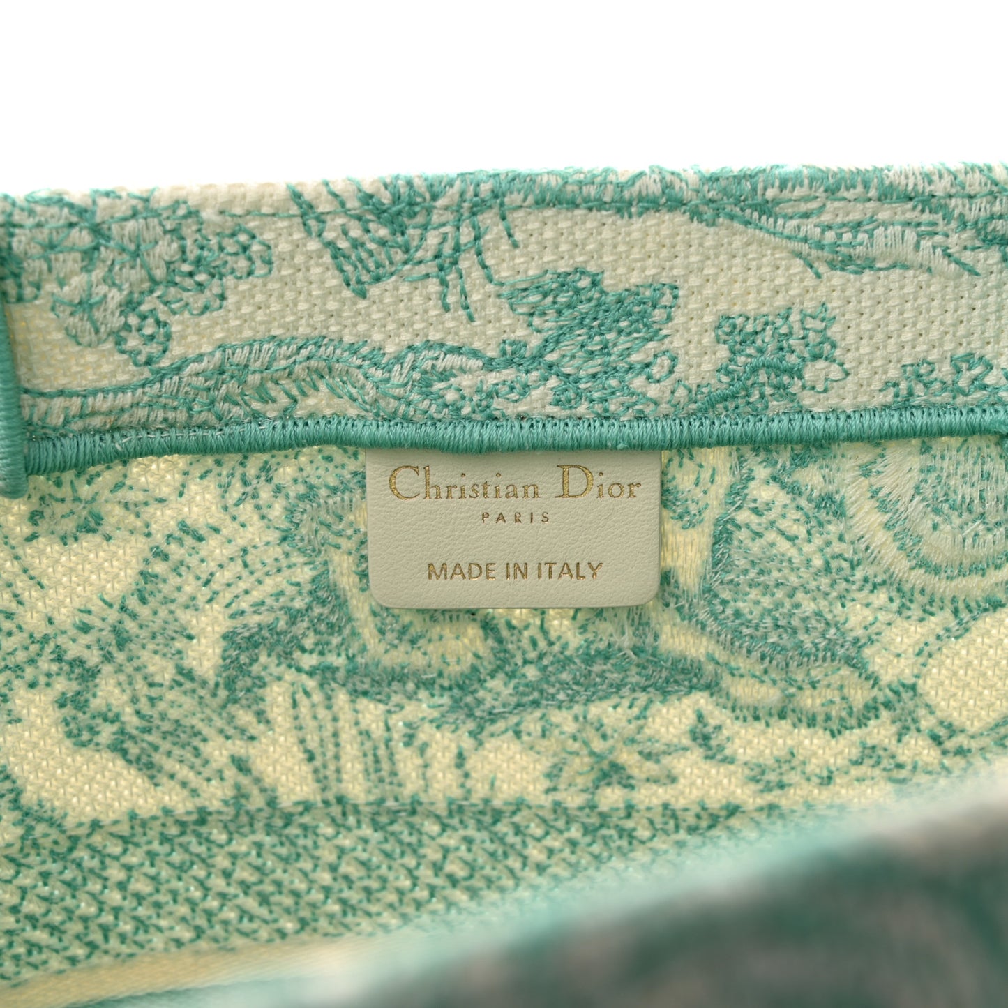 Canvas Embroidered Medium Dioriviera Toile De Jouy Book Tote Aquamarina