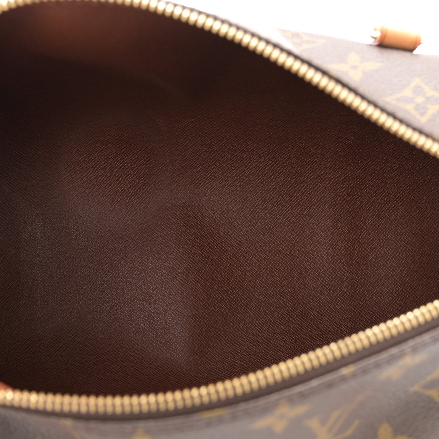 Monogram Papillon 30 with Companion