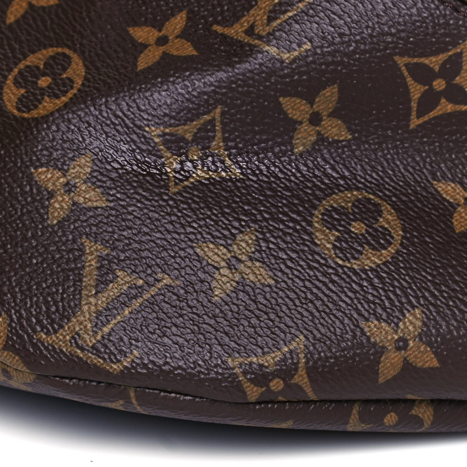 Louis Vuitton Monogram Bumbag 5 of 12