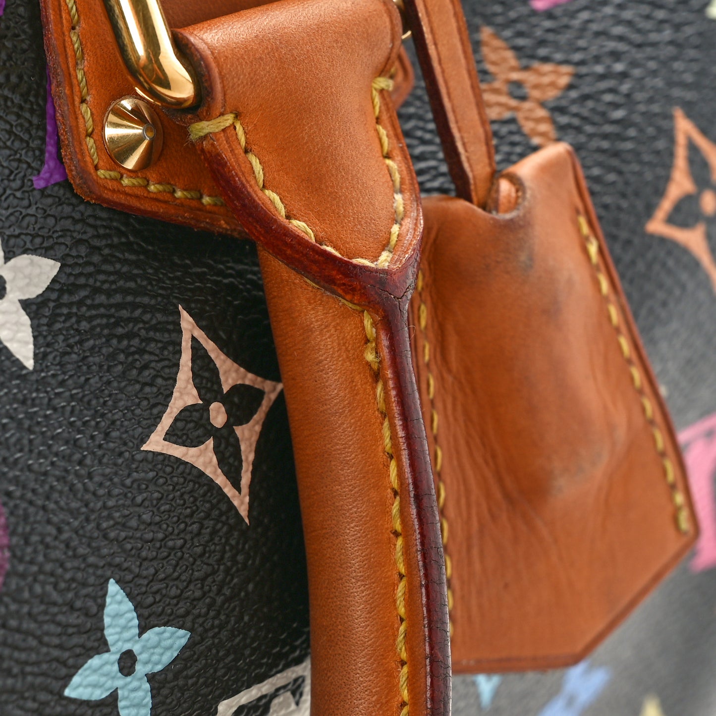 Monogram Multicolor Speedy 30 Black