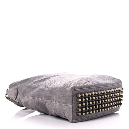 Alexander Wang Pebbled Lambskin Darcy Hobo Pale Gold Hardware 3 of 26