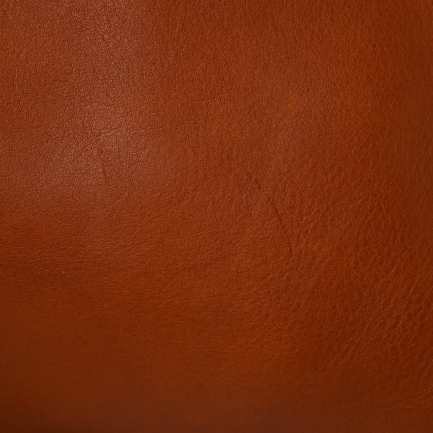 Chloe Smooth Calfskin Medium Milo Shopping Tote Caramel 20 of 20