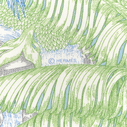 Hermes Cashmere Silk Faubourg Tropical Shawl 140 White Vert Bleu 4 of 5