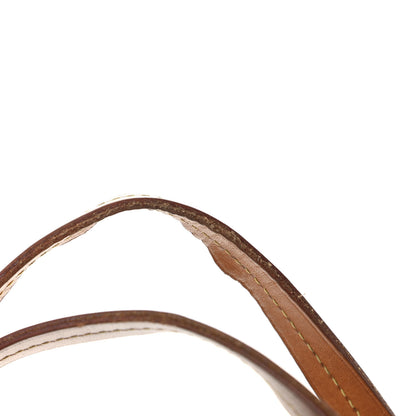Louis Vuitton Monogram Iena PM 18 of 20