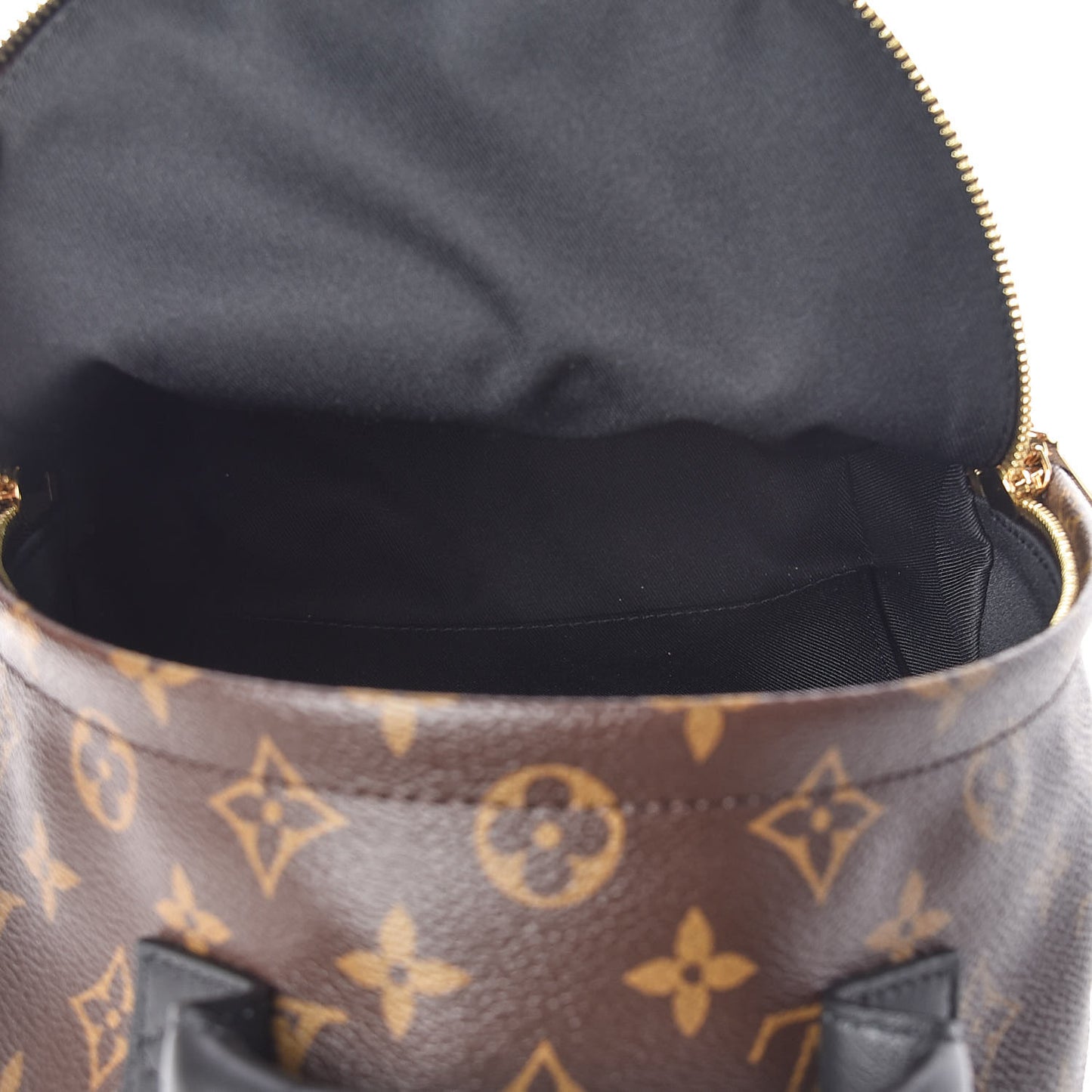 Monogram Palm Springs Backpack PM