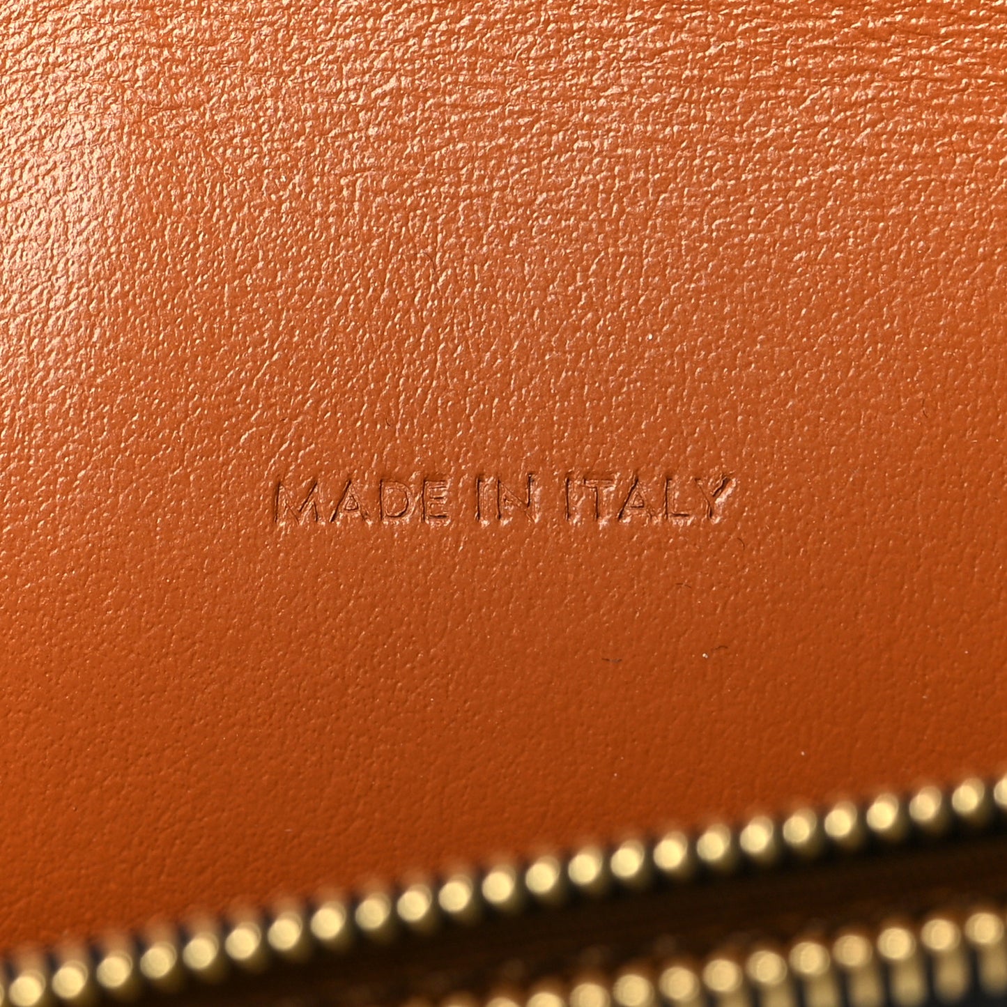 Triomphe Canvas Lambskin Wallet On Strap Tan