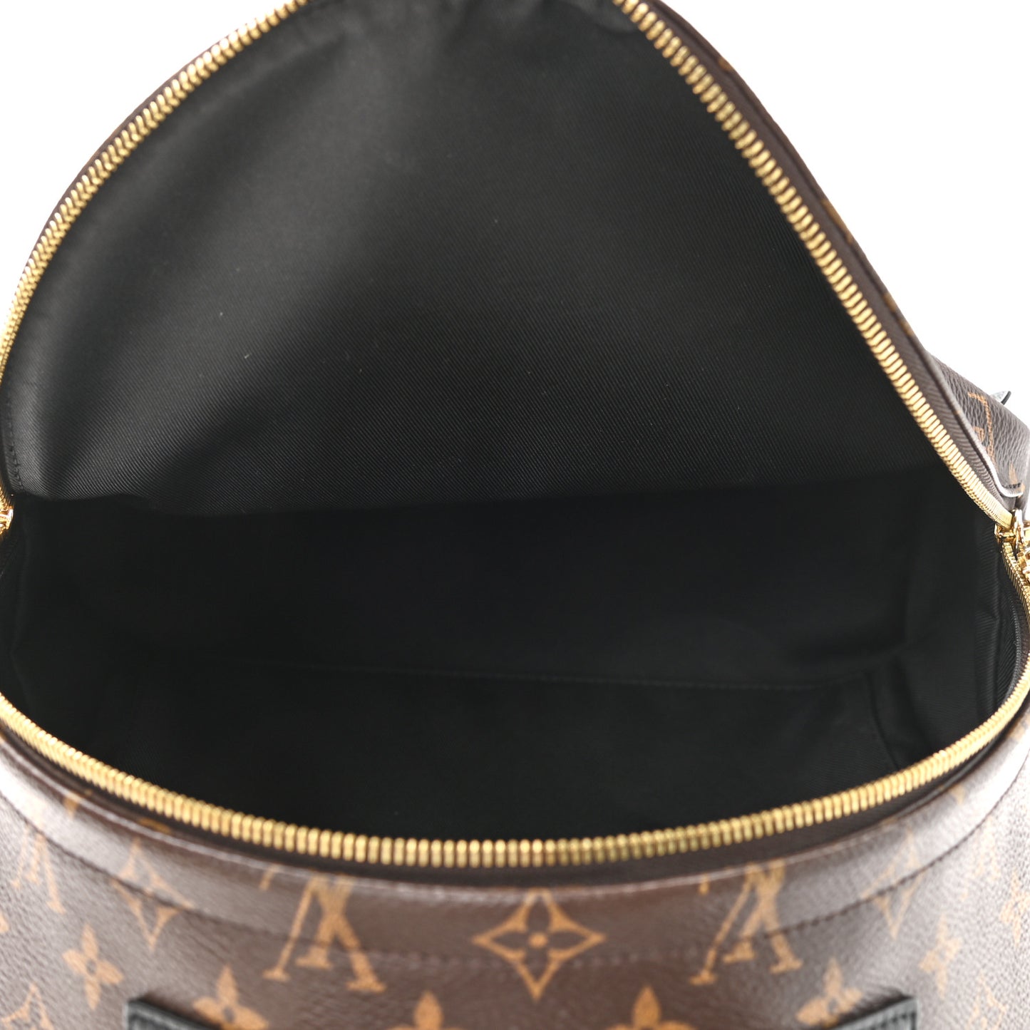 Monogram Palm Springs Backpack MM