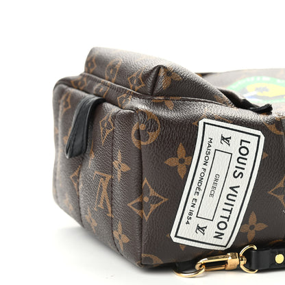 Louis Vuitton Monogram My World Tour Palm Springs Backpack Mini 9 of 15