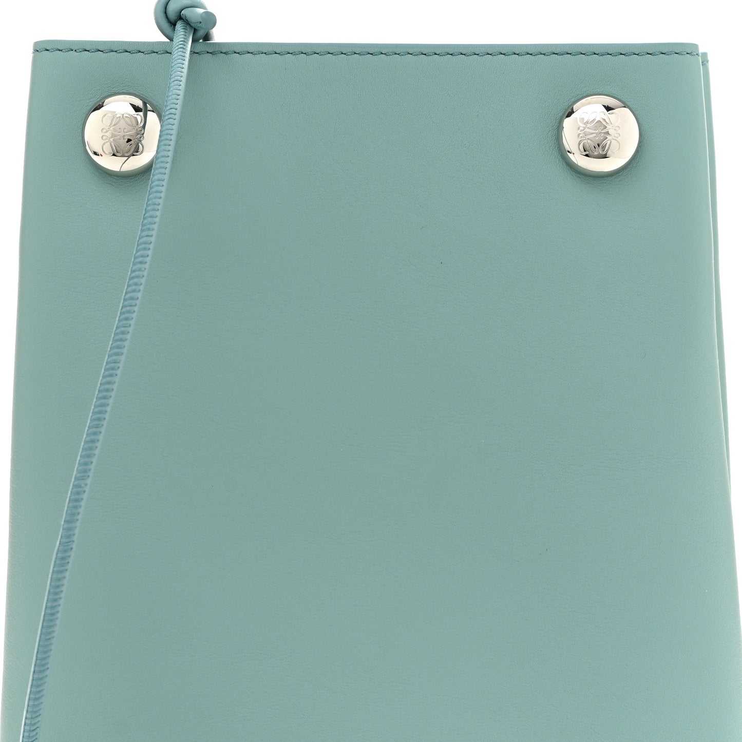 Smooth Calfskin Pebble Pouch Water