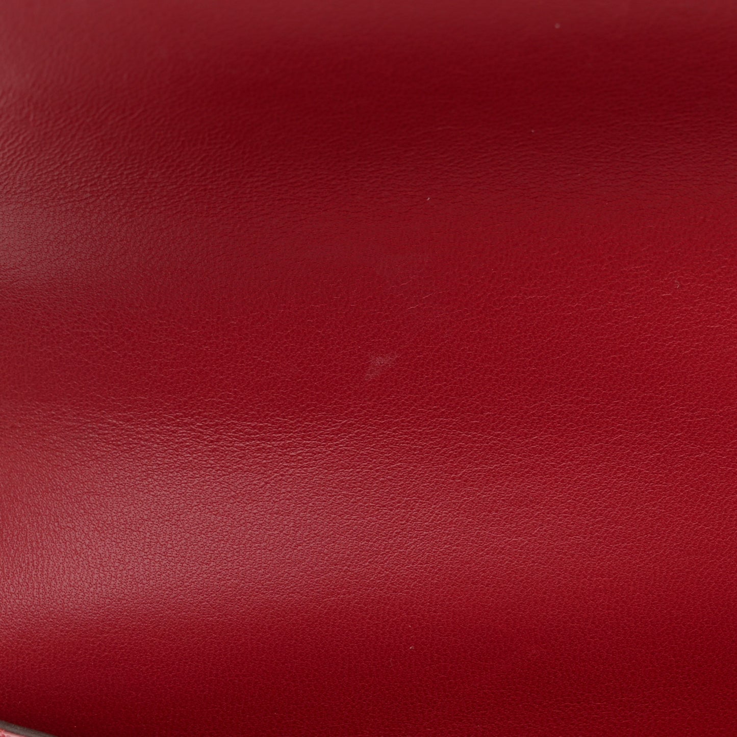 Shiny Alligator Constance 24 Braise