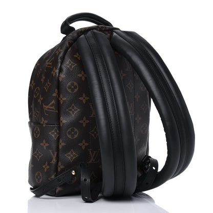 Louis Vuitton Monogram Palm Springs Backpack PM 2 of 7