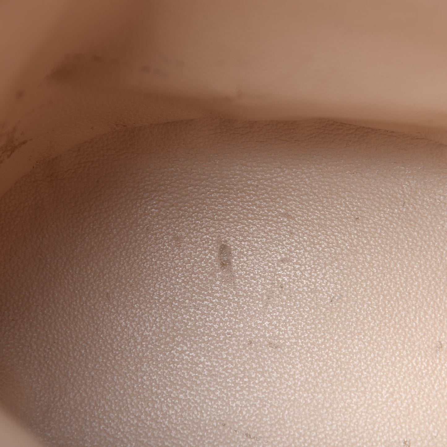 Monogram Petit Bucket 23