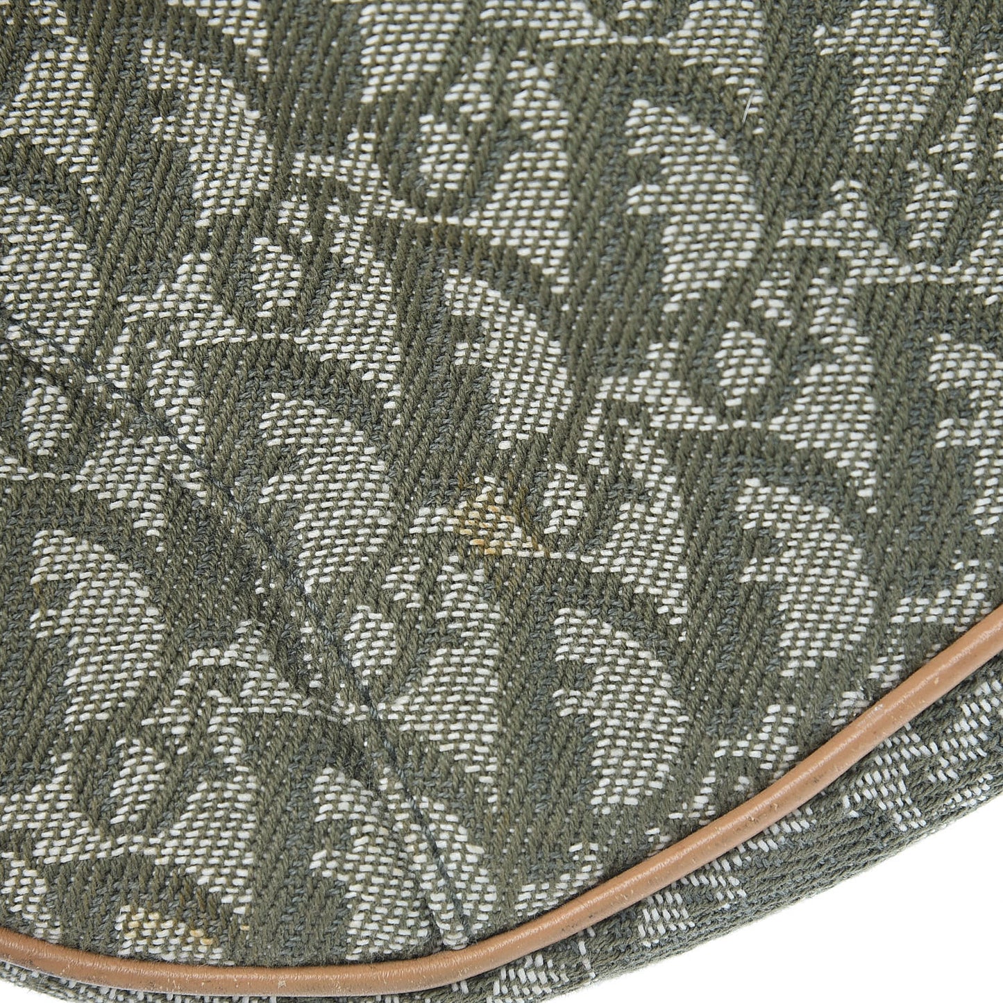 Monogram Mini Saddle Pochette Green