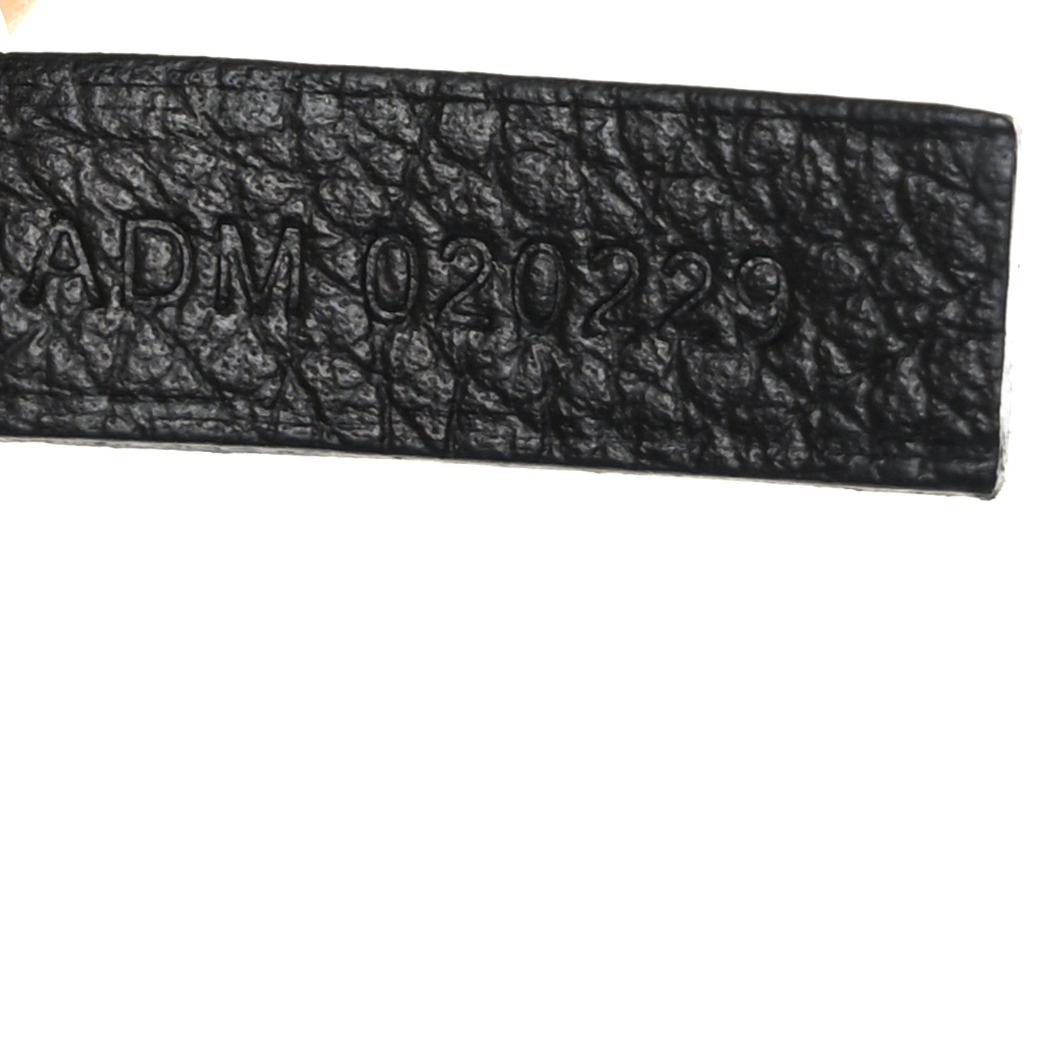 Goyard Goyardine Saint Louis PM Black 8 of 10