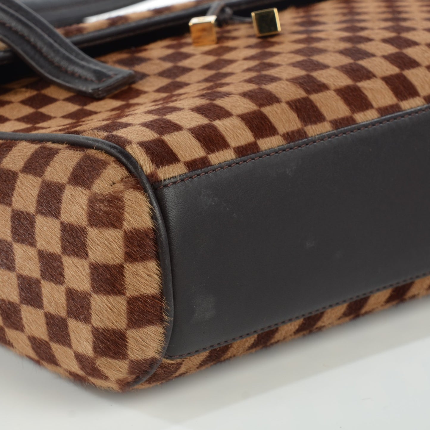 Damier Sauvage Lionne