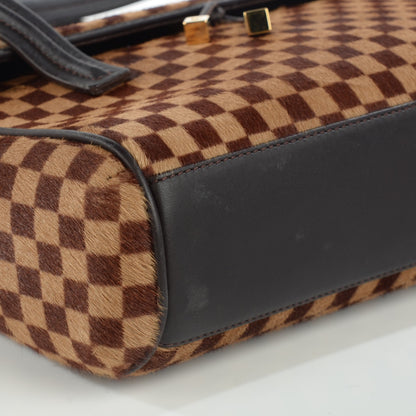 Louis Vuitton Damier Sauvage Lionne 9 of 9