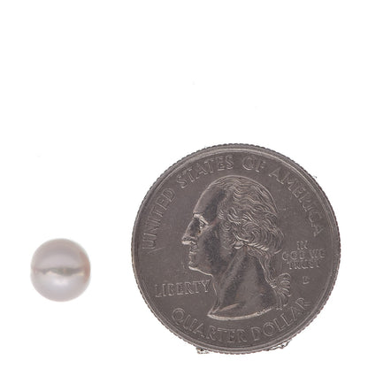 Mikimoto 18K Yellow Gold Akoya Pearl 7-7.5mm Stud Earrings 2 of 6