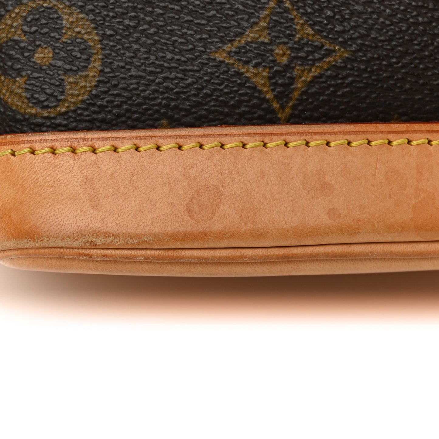 Monogram Mini Noe