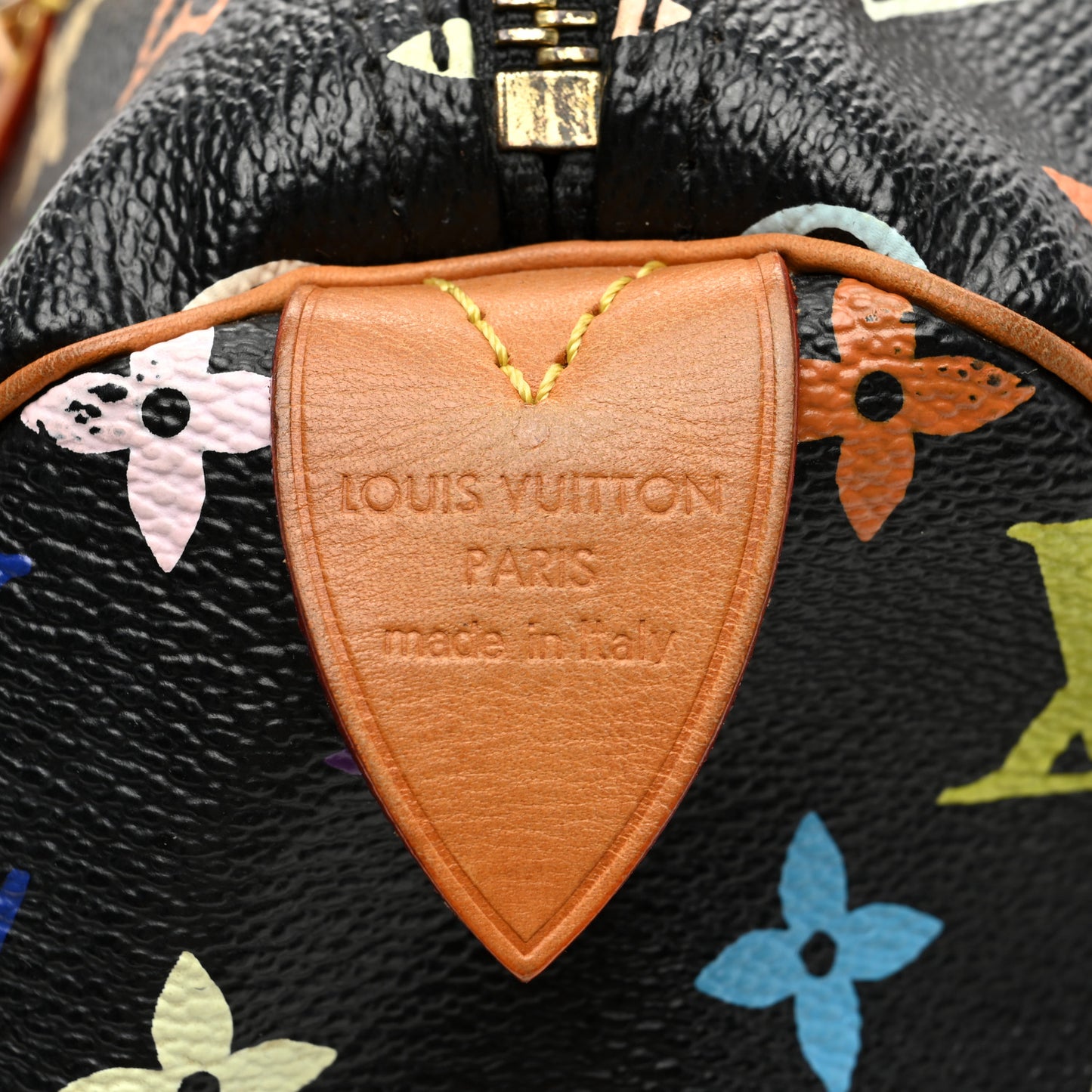 Monogram Multicolor Speedy 30 Black
