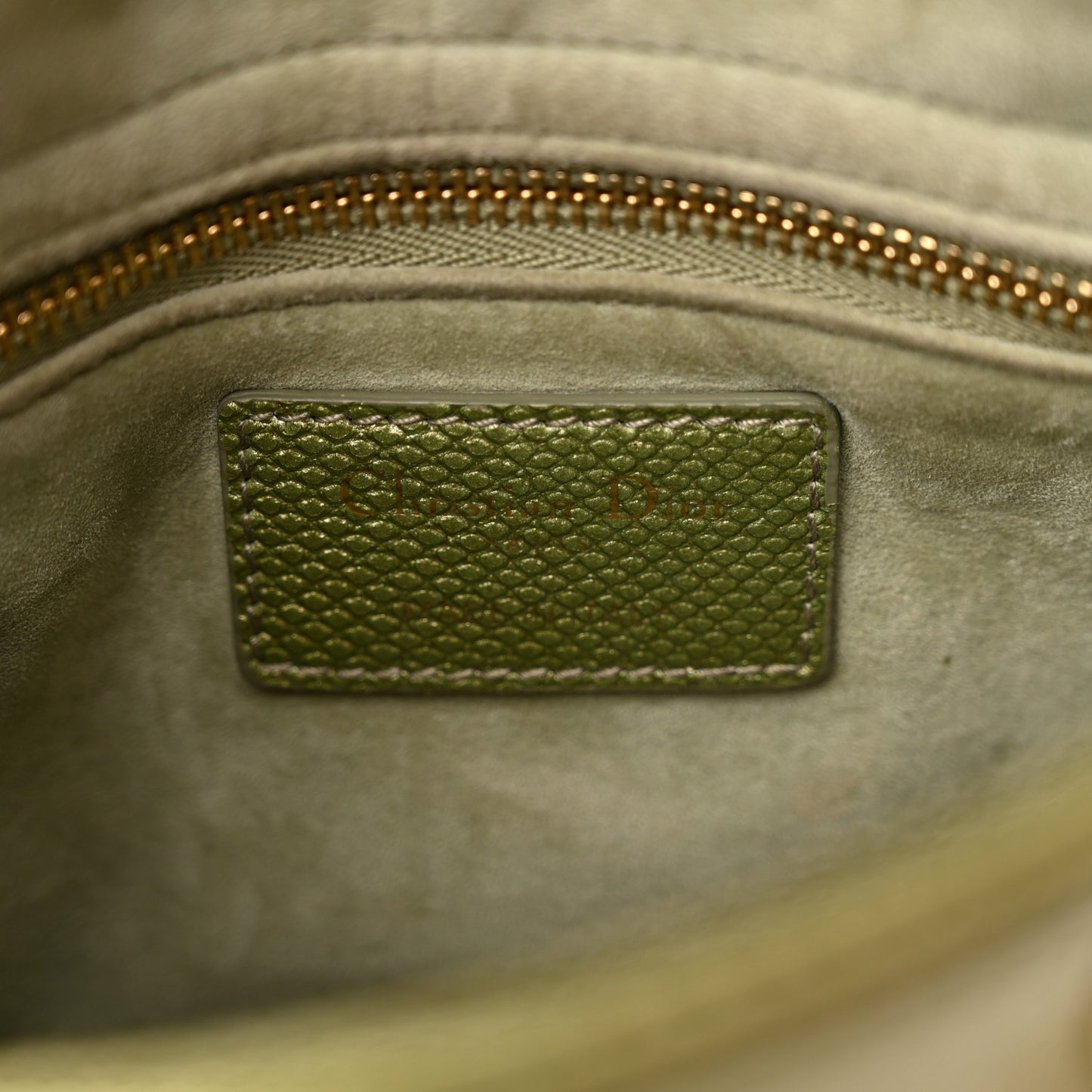 Metallic Lizard Mini Lady Dior Green