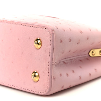 Louis Vuitton Ostrich Capucines Mini Pink 8 of 8