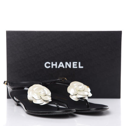 Chanel Patent Camellia Thong Sandals 36.5 Black White 9 of 9