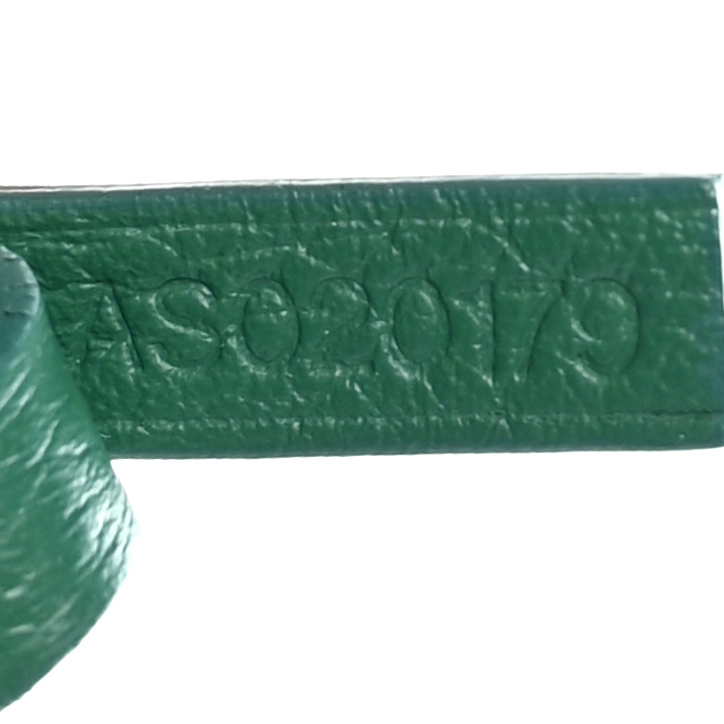 Goyard Goyardine Saint Louis GM Green 8 of 12
