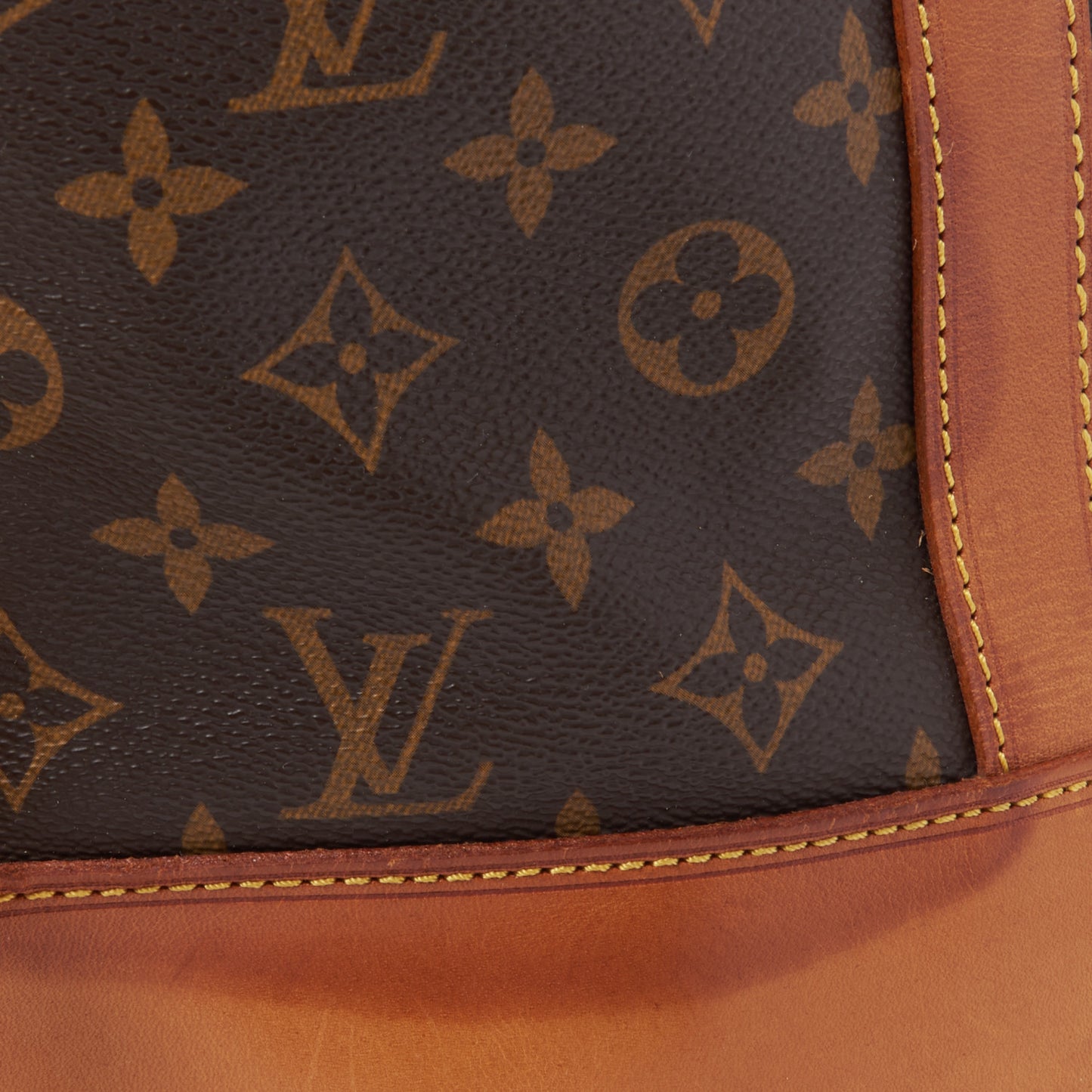 Monogram Randonnee GM Backpack