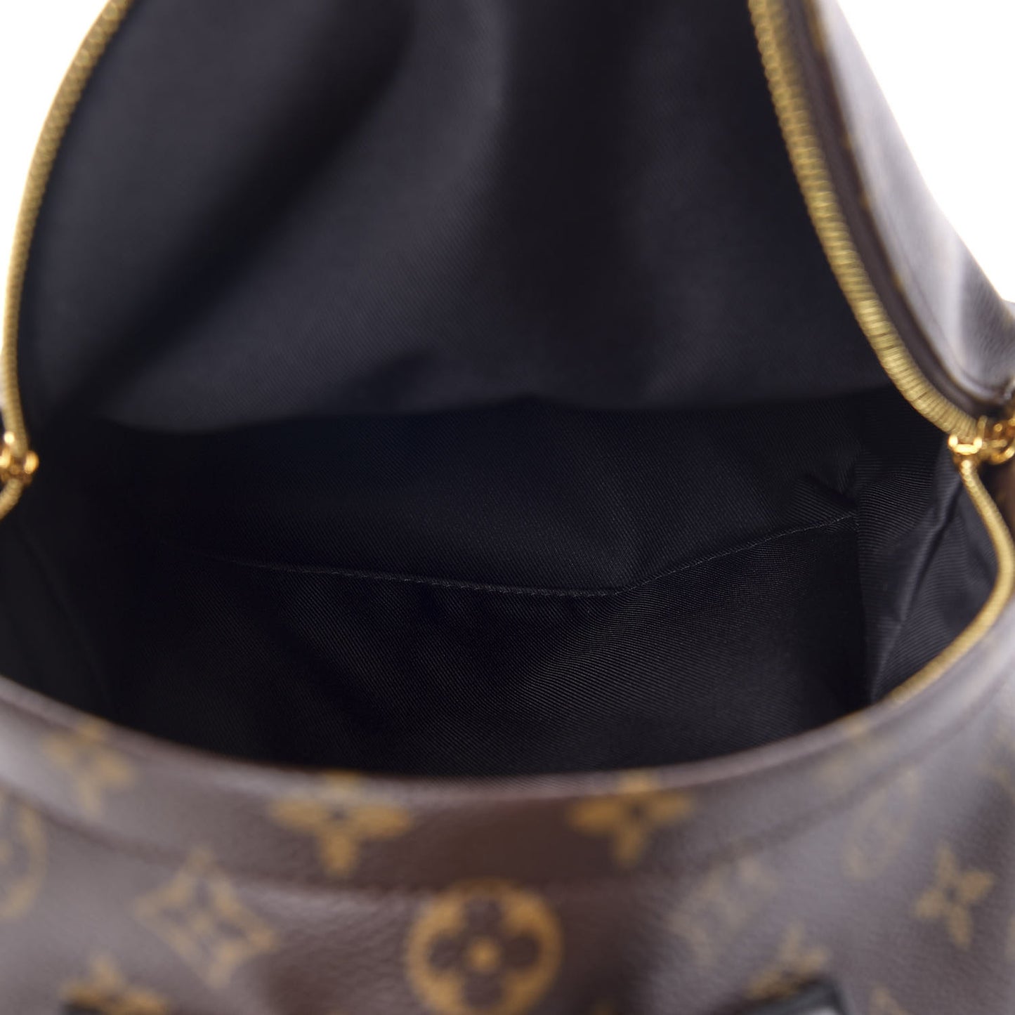 Monogram Palm Springs Backpack PM