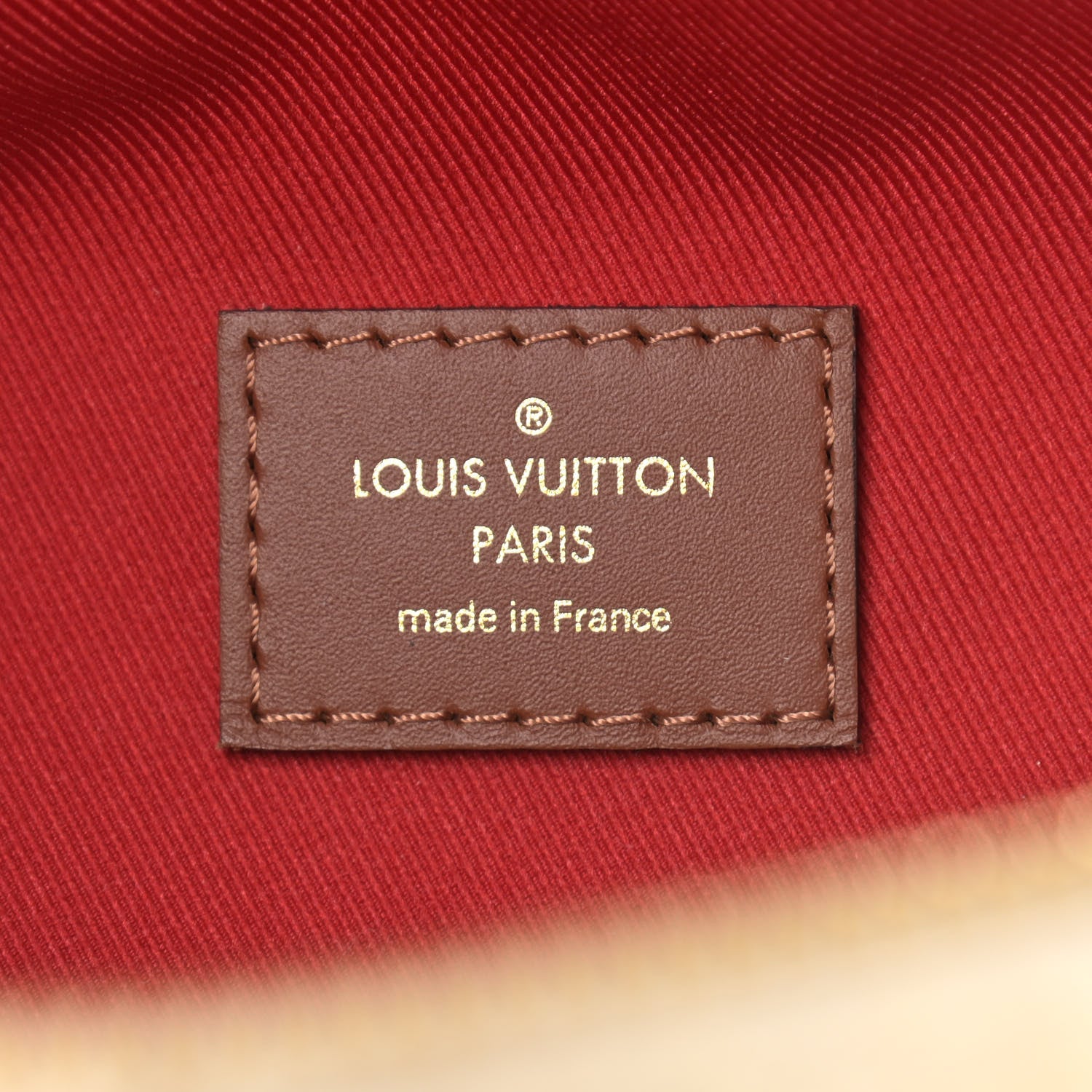 Louis Vuitton Monogram Teddy Bumbag 6 of 8