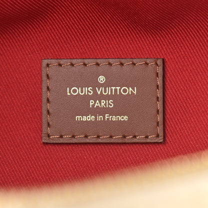 Louis Vuitton Monogram Teddy Bumbag 6 of 8