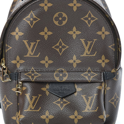 Louis Vuitton Monogram Palm Springs Backpack Mini 7 of 10