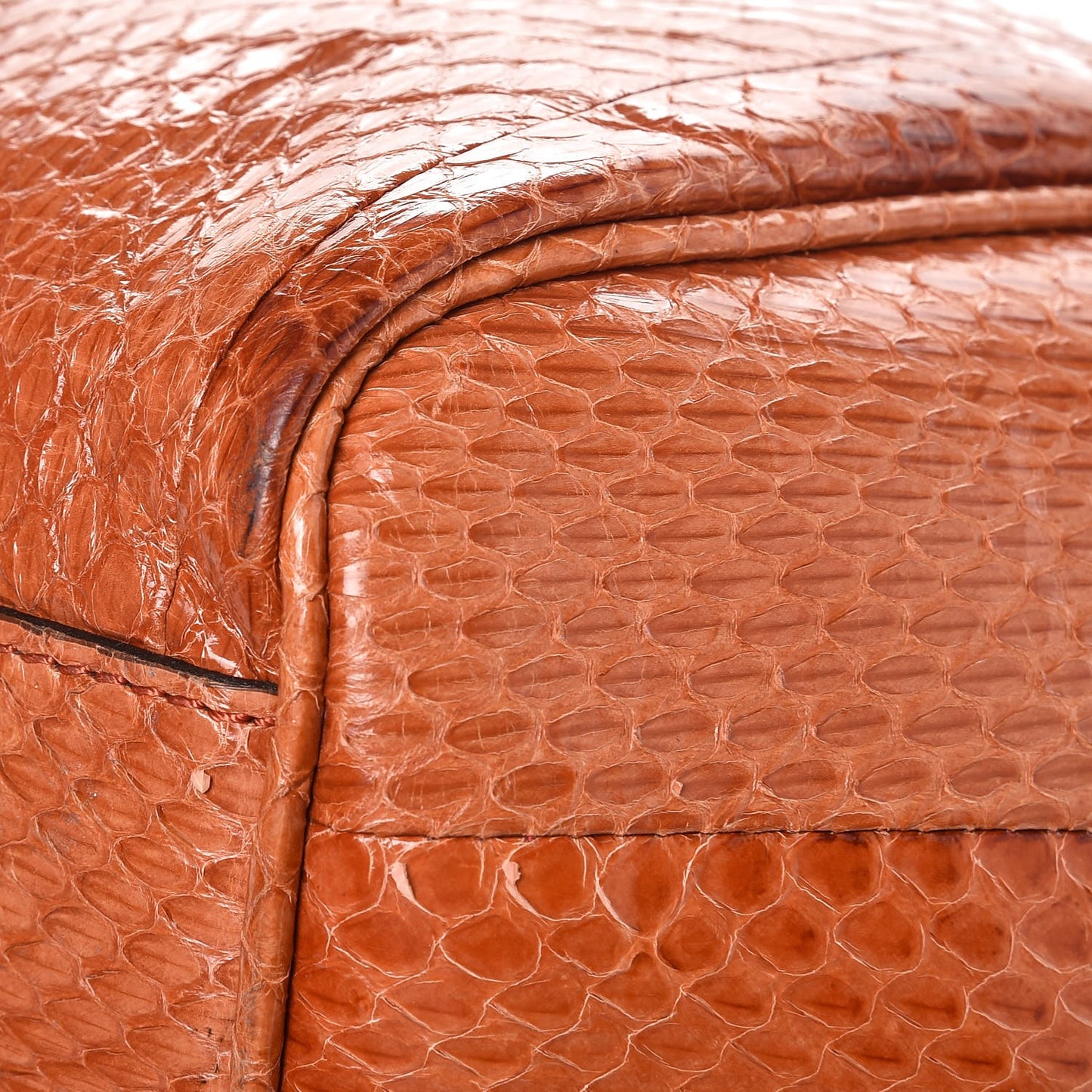 Watersnake Small Canterbury Tote Bright Tortoise