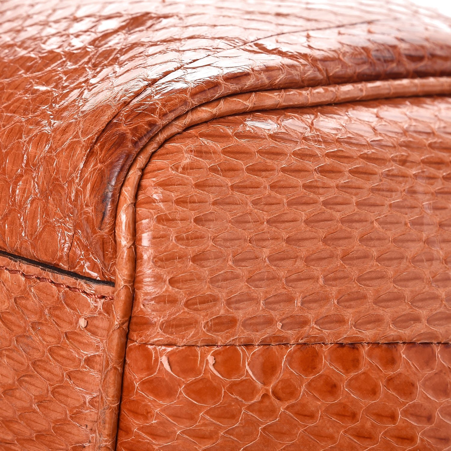 Burberry Watersnake Small Canterbury Tote Bright Tortoise 9 of 12
