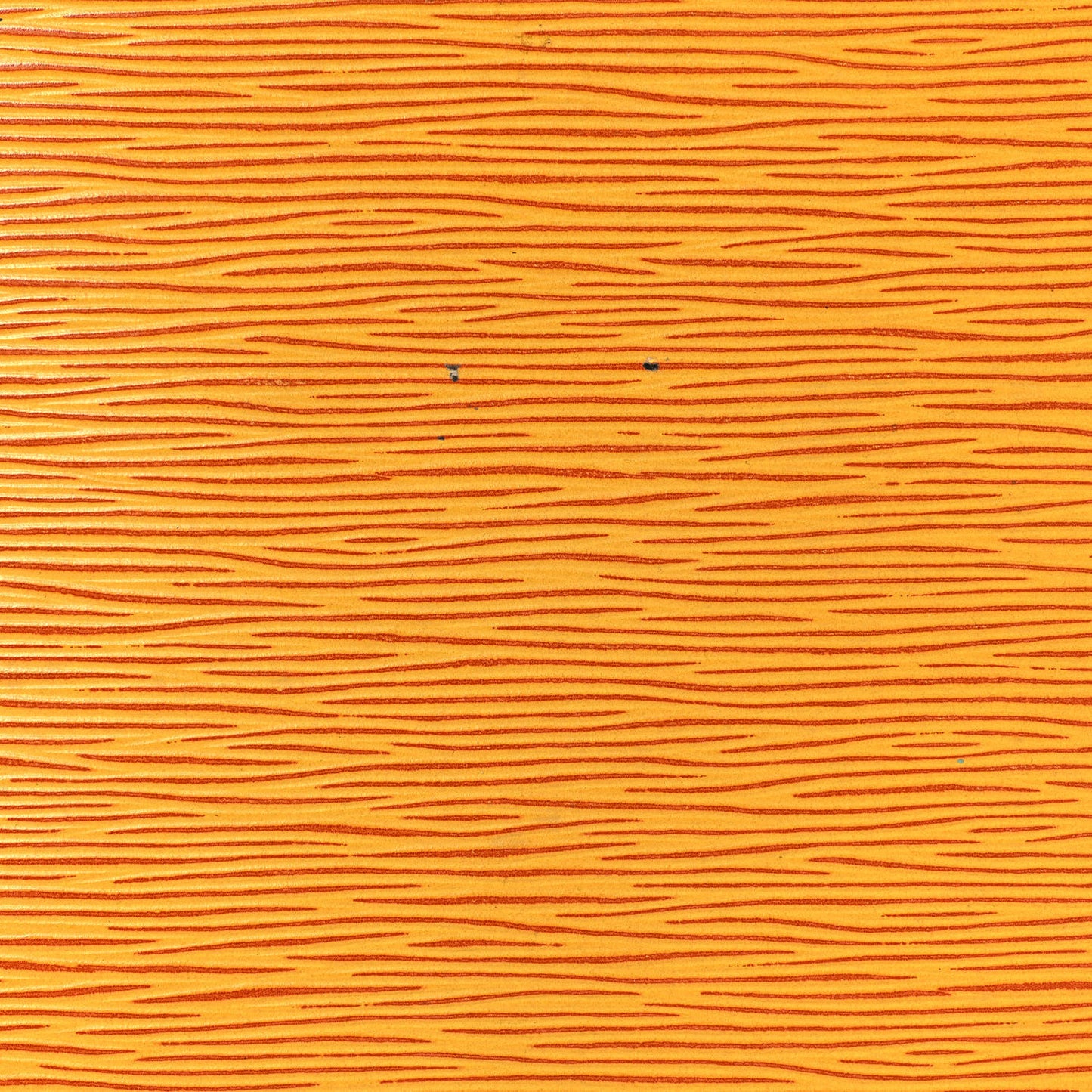 Epi Petit Noe Tassil