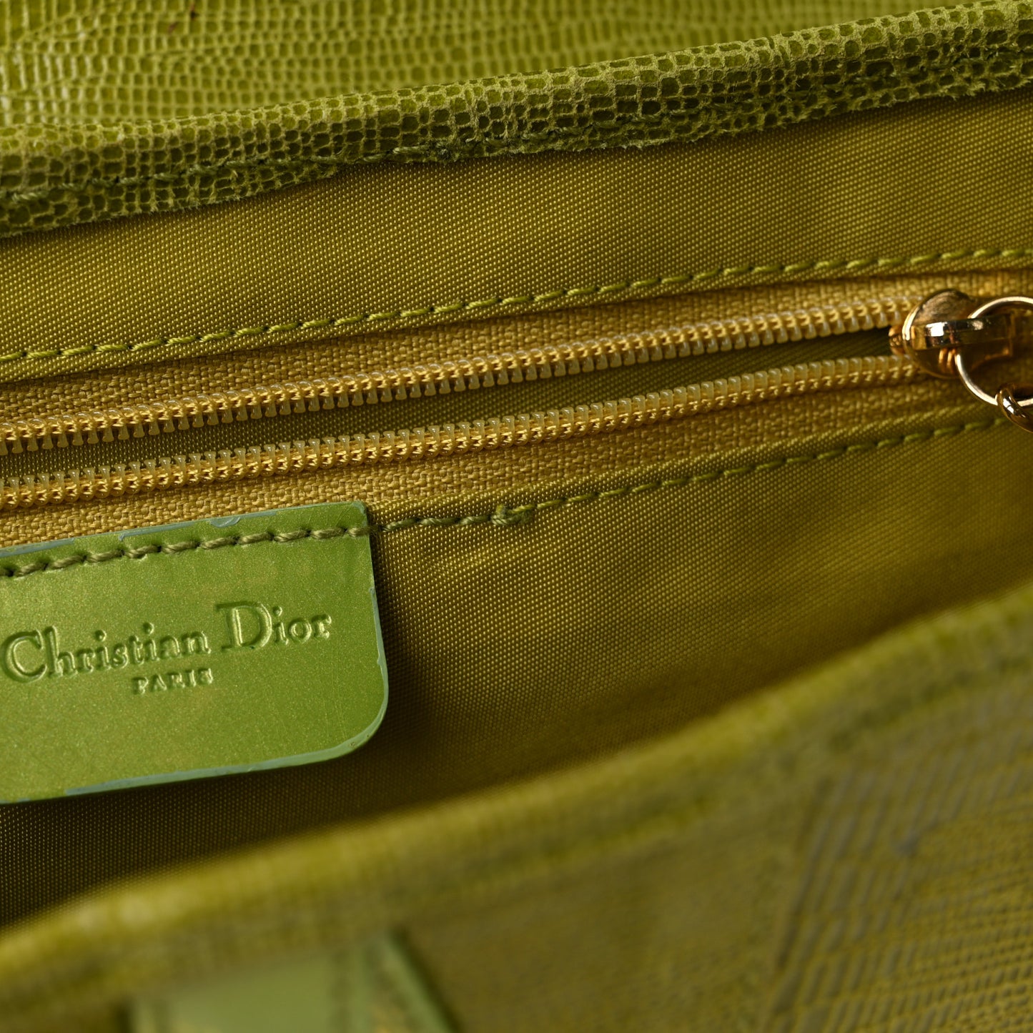 CHRISTIAN DIOR Lizard Saddle Bag Green