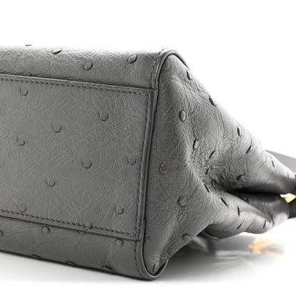Fendi Ostrich Shiny Nappa Mini Peekaboo Iconic Satchel Grey 9 of 9