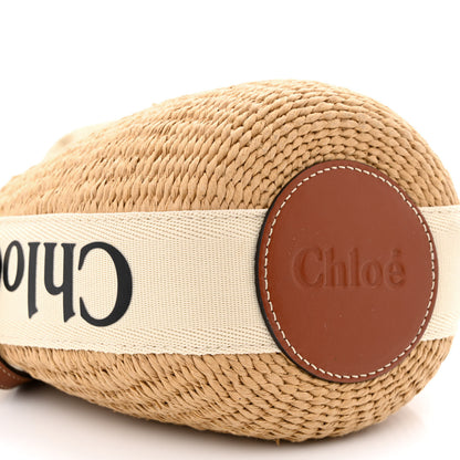 Chloe Natural Woven Fiber Small Woody Basket 9 of 11