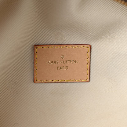 Louis Vuitton Monogram High Rise Bumbag 6 of 10